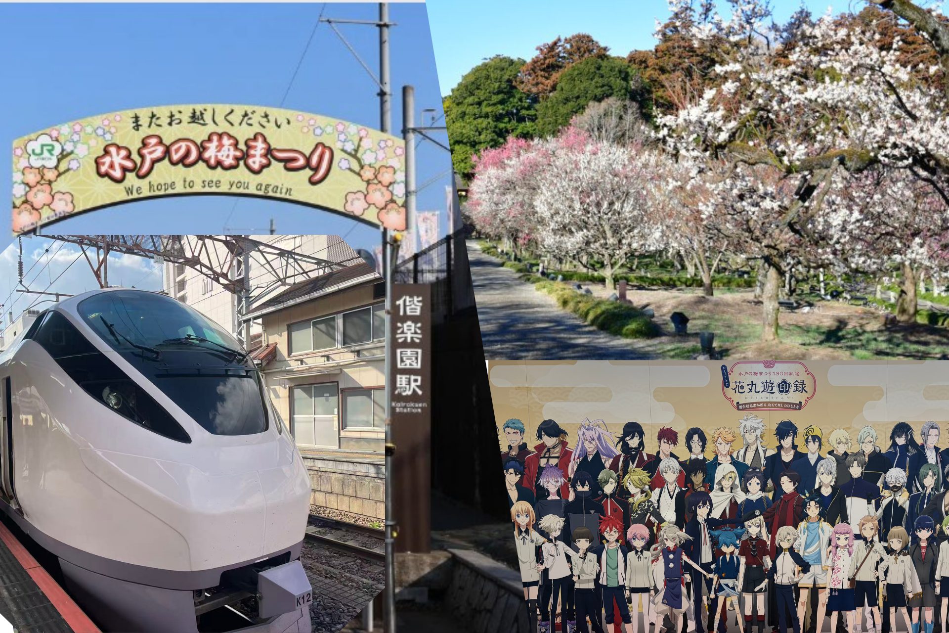 花見の起源は梅だった？偕楽園の梅まつりで春を先取り